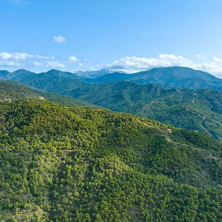 Luxury Marbella 公寓 埃斯特波纳