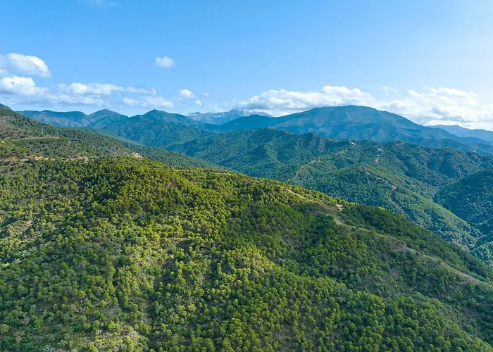 Luxury Marbella 公寓 埃斯特波纳